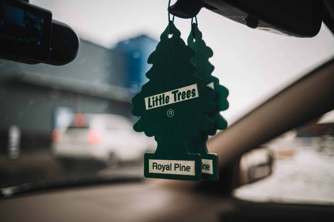 Ditching the Magic Tree: Proper Car Gift Ideas for Your Car Enthusiast Friend - Glowsmith